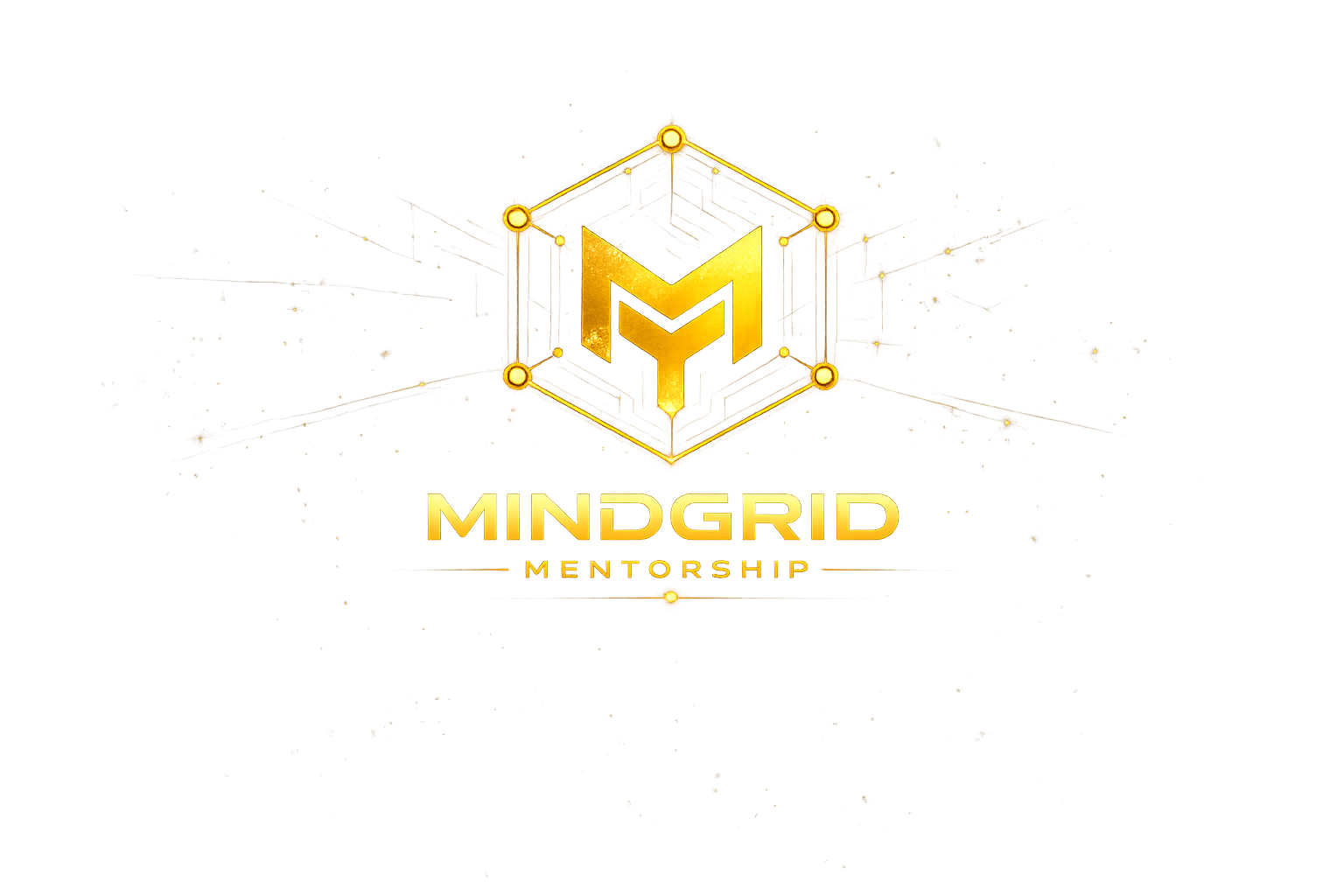 Mindgrid Mentorship